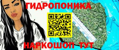 ПСИЛОЦИБИНОВЫЕ ГРИБЫ Сланцы