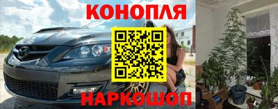 гидра Славянск-на-Кубани