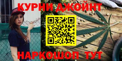 гидра Славянск-на-Кубани