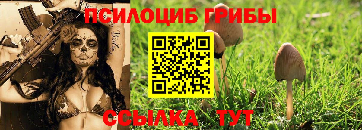 Псилоцибиновые грибы Psilocybe  Вход с VPN  Галлюциногенные грибы мицелий  Обнинск 