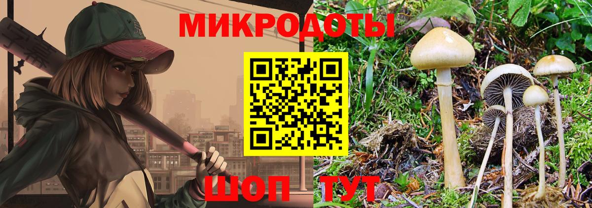 Галлюциногенные грибы MAGIC MUSHROOMS Обнинск
